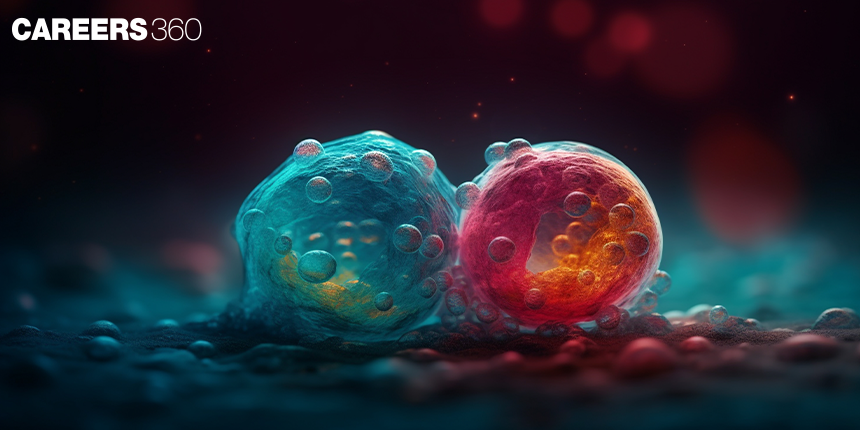 Difference Between Mitosis And Meiosis: Overview, Diagram