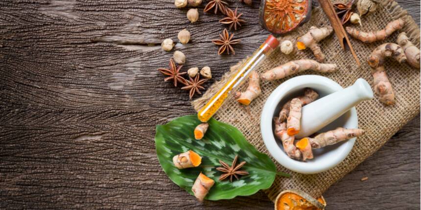 What is the difference between Ayurveda and Homeopathy