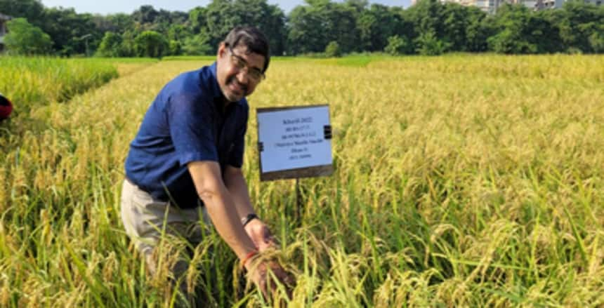 BHU scientists develop new variety of rice; ICAR approves. (Image Source: Official Website)