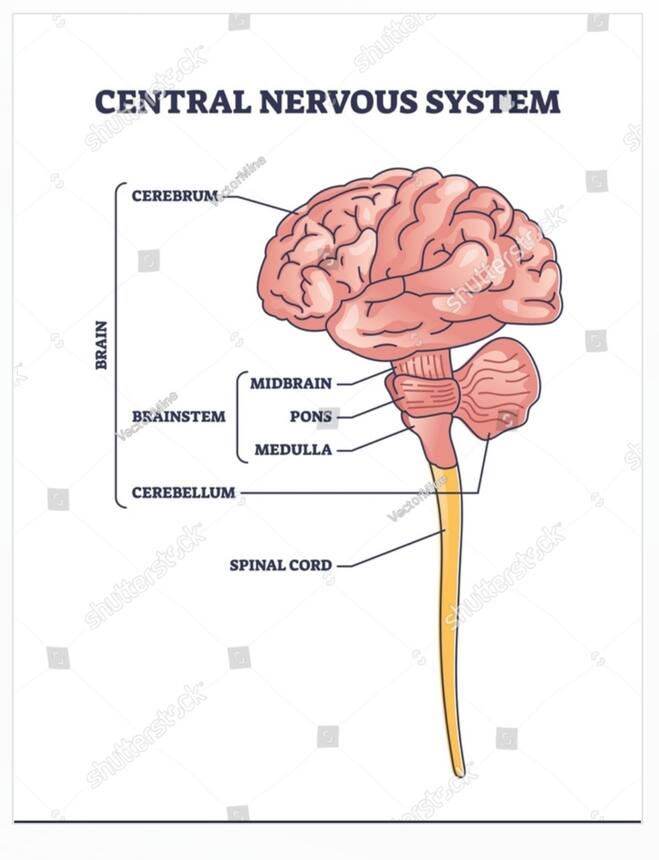 cns-full-form-in-civil-engineering-civil-form-2023