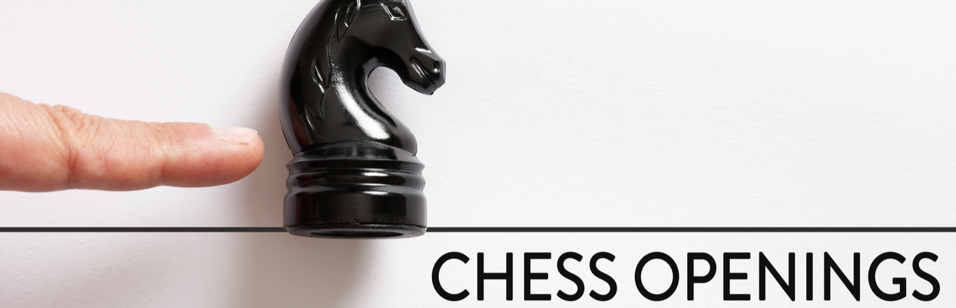 A fun lovers Guide to the Major Chess Openings