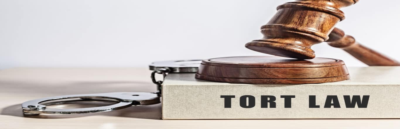 The Law Of Torts Made Simple By Udemy: Fee, Duration, How To Apply