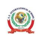 A Y International School