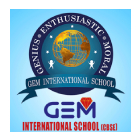 GEM International School