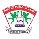 Angels Public School