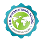 B R International School
