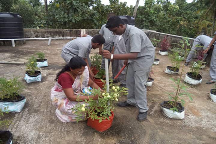 The City Central School-Plantation Activity