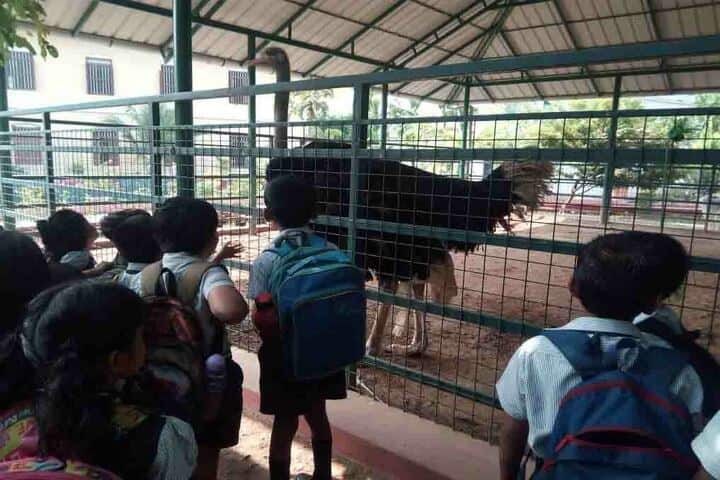Toch Residential Public School-Excursion