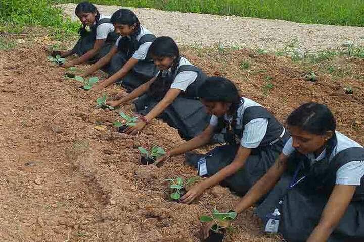 Toch Residential Public School-Tree planting