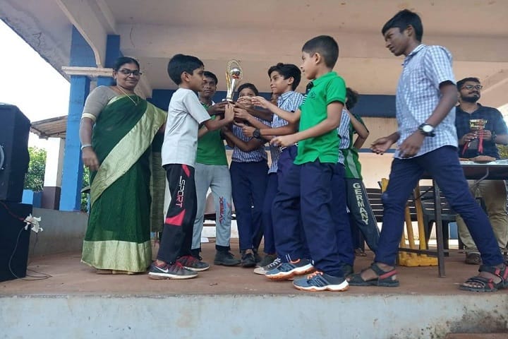 Vidya Prakash Public School-Cricket Winner