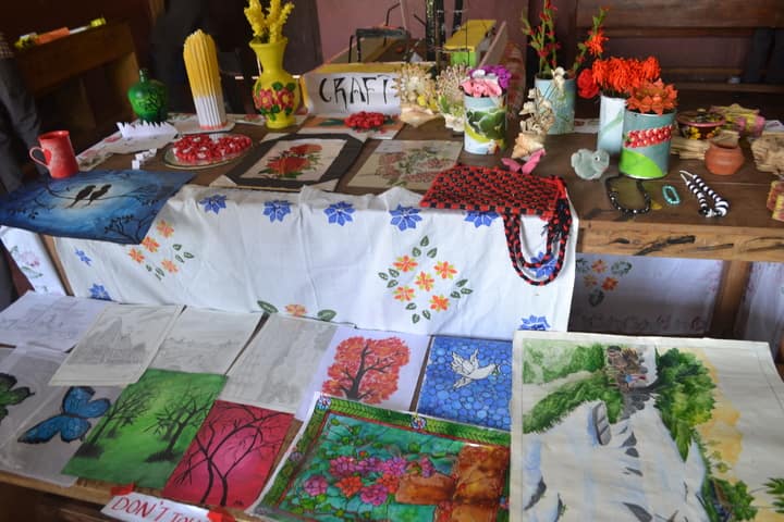 Vidyanagar public school - school fair