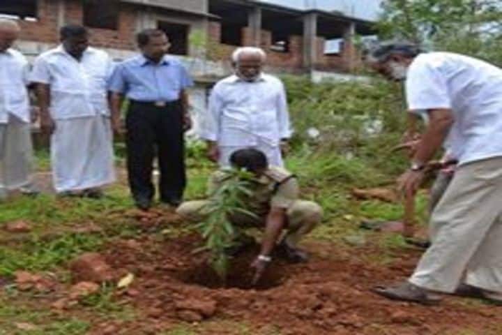 Vidyanagar public school - tree planting