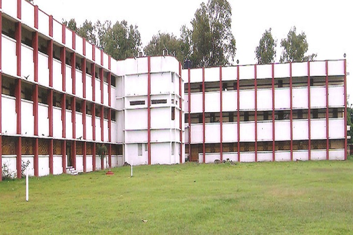 Aditiya Birla Senior Secondary School-Play Ground