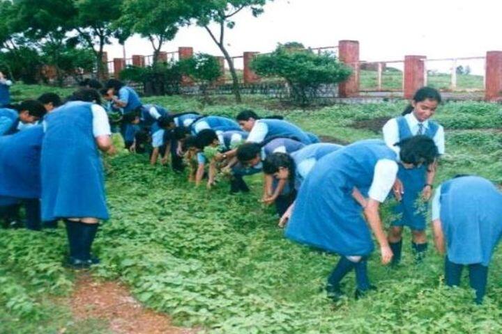 All Saints School-Activity
