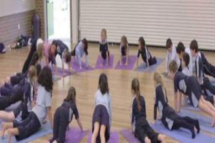 Alok International School-Yoga