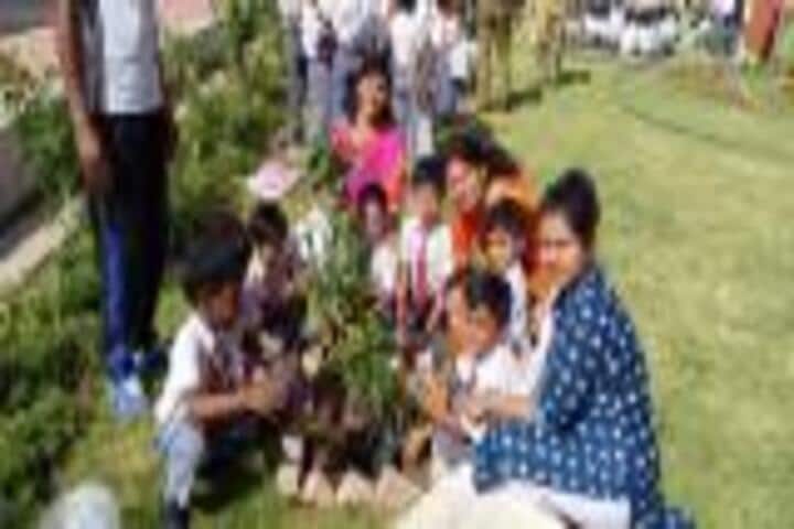 Army Public School-Tree Plantation