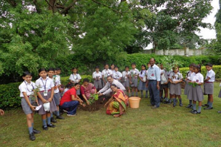 Army Public School-Tree Plantation