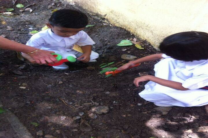 Asashas Sarafa Vidya Niketan Higher Secondary School-Tree Plantataion Activity