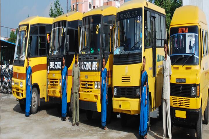 Camellia Kids College-Transport