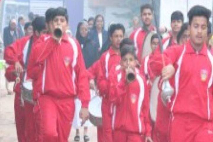 Carmel Convent Senior Secondary School-Activity