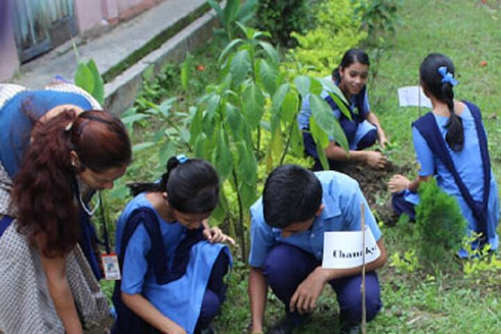 Vivekananda Kendra Vidyalaya-Plantation