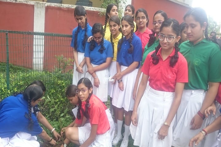 Christ Chruch Girls Senior Secondary School-Plantation