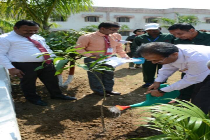 DAV PUBLIC SCHOOL, DUDHICHUA - PLANTATION