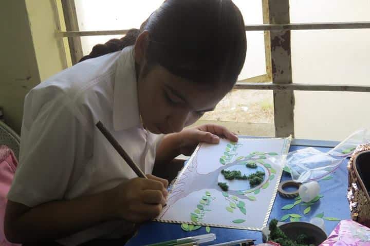 Daly College-Art and Craft