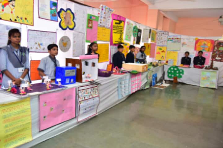 Delhi International School-Science Exhibition