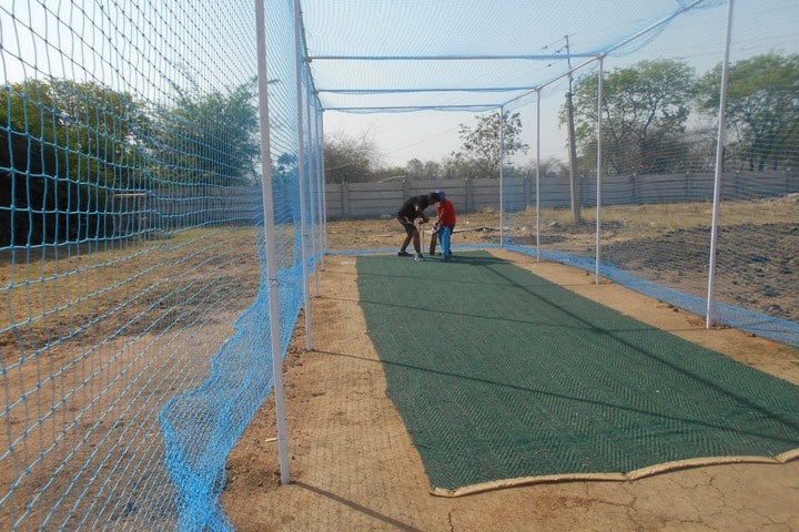 Delhi Public School-Cricket