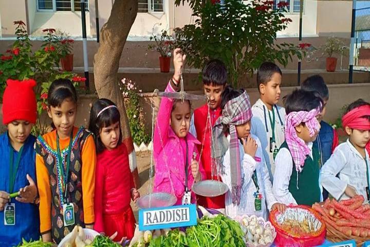 Delhi Public School-Activity