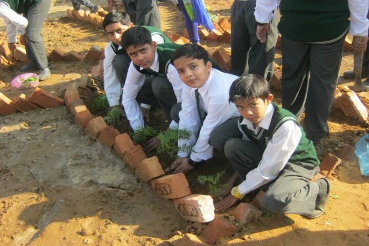 Delhi Public School-Plantation