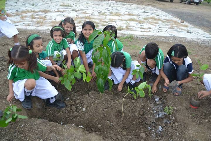 Delhi Public School-Plantation