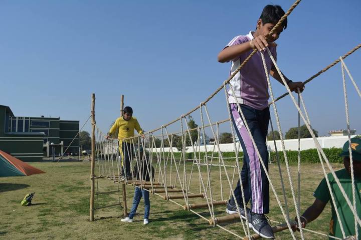 Delhi Public School-Activity