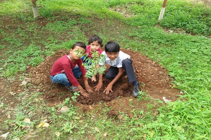 Education Park-Tree Plantation