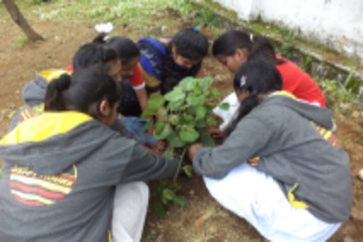 Happy Hours English Medium School-Plantation