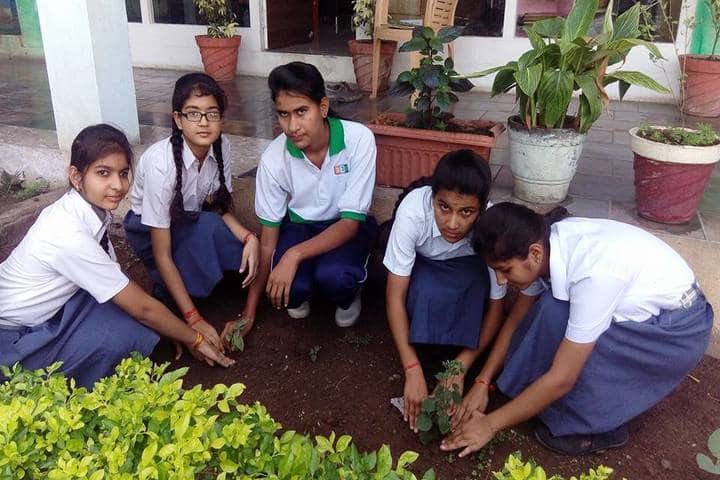 Hind Junior College-Tree Plantation