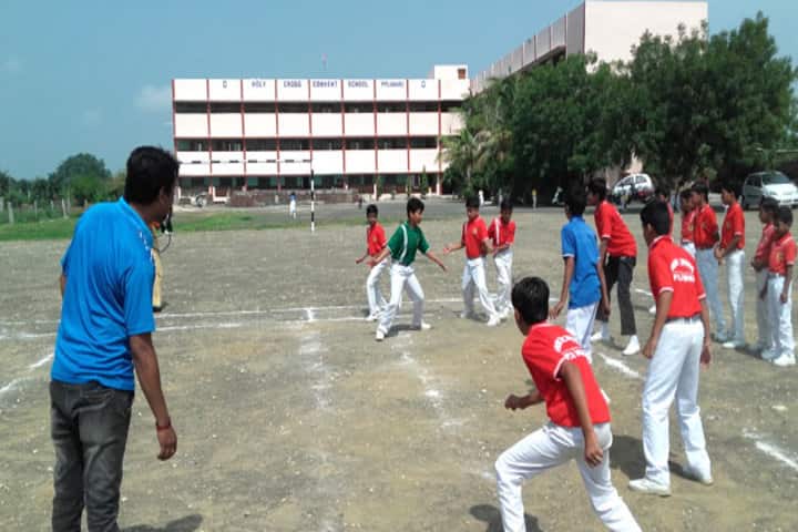 Holly Cross Convent School-School View