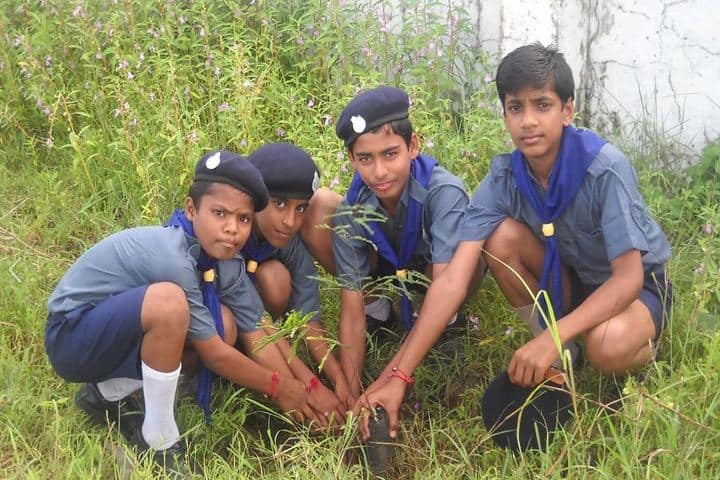 Jawahar Navodaya Vidyalaya-Plantation