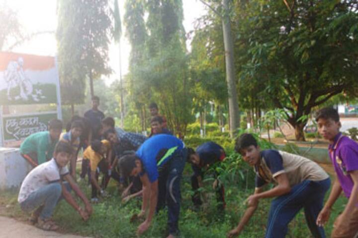 Jawahar Navodaya Vidyalaya-Plantation