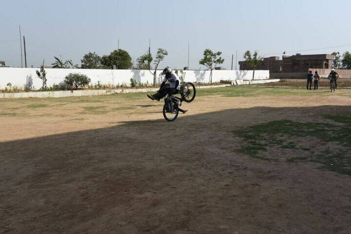 Annie Besant International School-Ground