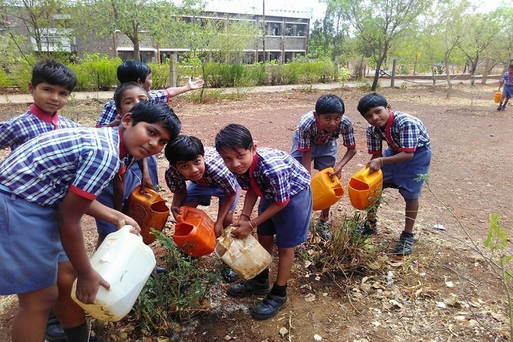 Kendriya Vidyalaya-Tree Plantation