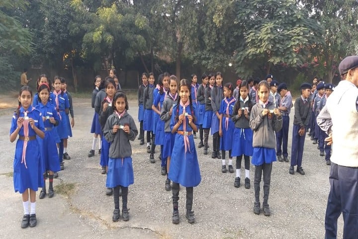 Kendriya Vidyalaya-Scout Team