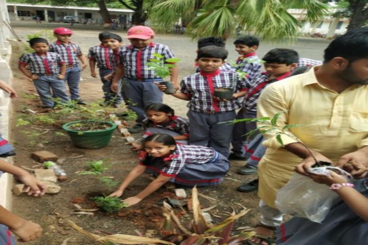 Kendriya Vidyalaya-Planting Programs