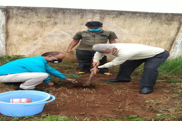 Kendriya Vidyalaya-Tree Plantation