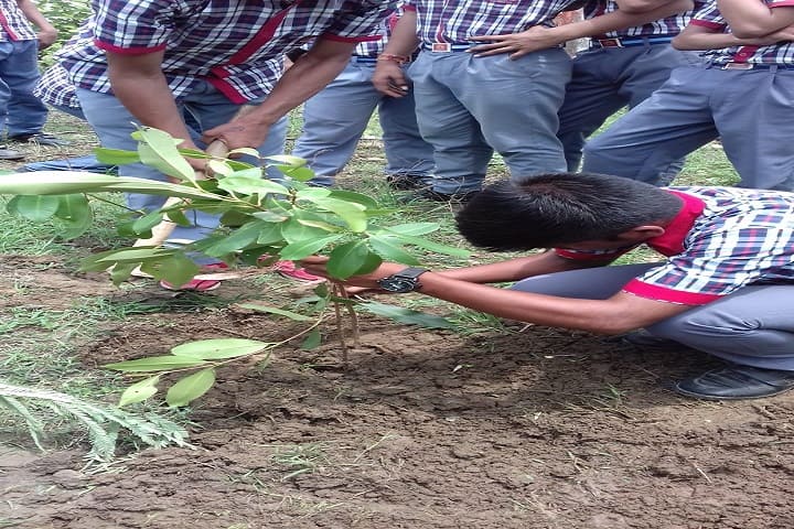 Kendriya Vidyalaya-Plantations