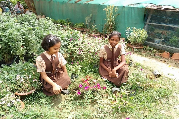 Arya Mission Global School-Plantation