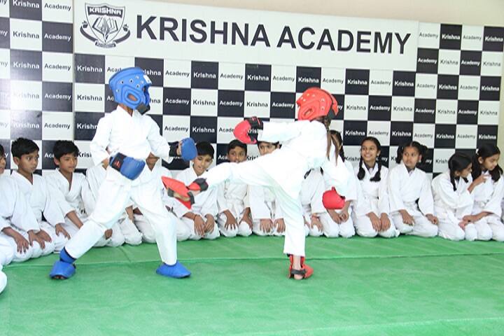 Krishna Academy-Karate