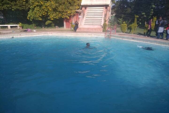 Krishna Academy-swimming