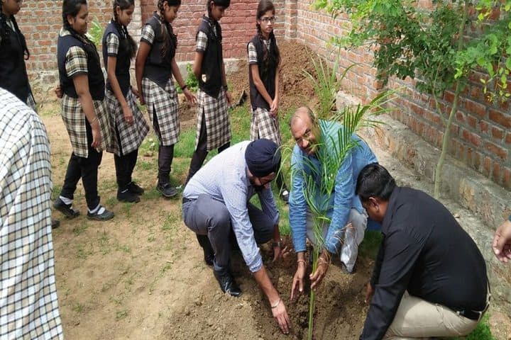Little Flower International School-Tree Plantation